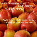 도레미사과
