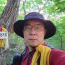 이화장모텔 | 덕산지맥 제1구간 신암리 새신마을에서 분기점 찍고 논골재까지 산행후기