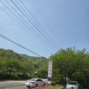 더(the)진주냉면 이미지