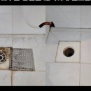 경기도 수원시 팔달구 경수대로 584 (인계동) 이미지