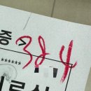 쪼이참치 | #13 우리 쪼이 생일 축하했다.