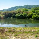 화이트빌리지 이미지