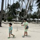 푸른숲약국 | 보홀 아모리타 리조트 2박 조식·수영장·룸 컨디션 후기