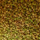 월야농장 이미지