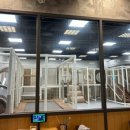 채선당자연한가득 김해점 이미지