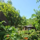 흙모퉁이민박 이미지