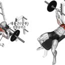 와이짐Y-GYM헬스 이미지