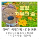 푸른무지개유치원 | 숲, 터득골 북카페 오냐나무 낭독회, 이효석 문학의숲 무장애나눔길, 봉평 풀내음, 네발트립 솔직후기