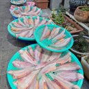 튼튼네 칼국수 양념