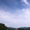 메밀꽃이피었습니다 이미지