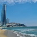 [기사 스크랩] 부산 오고싶어서 난리 '부산병' 신조어까지…외국인 관광객 10명 중 8명 차지한 나라 - 아시아경제 이미지