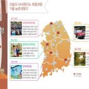 빗돌배기농어촌체험휴양마을