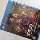 위닝플스 이미지