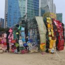 물고기 미포 이미지