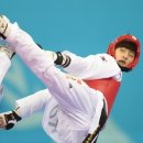 금빛스타태권도 이미지