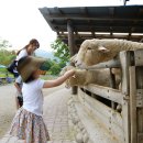 강촌목장 이미지