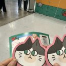 이지케이코리아(주) | 2026 부산 궁디팡팡 캣페스타 벡스코, 샘플로 얼마나 받을 수 있을까? (+ 다녀온 후기)