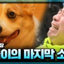 똘똘이농장 이미지