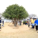 백조호수공원 이미지