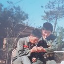 배종필 Daum카페