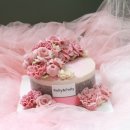 롤리 앤 폴리 이미지