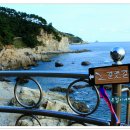 바닷길 풍경 이미지