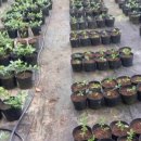 희석목장 이미지