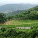 임천 가림성 느티나무 이미지