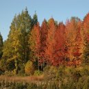 시크릿강릉 이미지