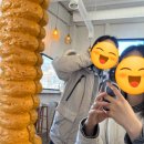 연못1길 19, (문화동) | [주간일기]1월 넷째주