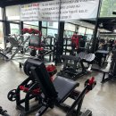 뉴텍 레그익스텐션 디랙스 랫풀다운 이글이글 킥백 이미지