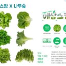 현아농산