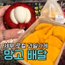 세부 망고 과일 배달 가격 · 꿀팁 | 리라 프룻츠 Lira Fruit
