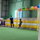 한라태권도1관 이미지