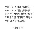 미타참찬 이미지