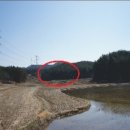 이곡1리 다목적회관 | 2017 타경 2194 .충청남도 태안군 원북면 이곡리 산23 임야 경매