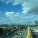 로우코스트 | 간만에 여행기 2024 12 도쿄 여행(간만에 대한항공 탑승 후기, 로우 코스트 버스 요금인상 1500엔ㄷㄷ)