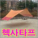 타프 이미지