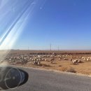 화성제일주유소 | 2026 새해는 요르단에서 3 화성이 이렇게 추운지는 몰랐지, 와디럼사막