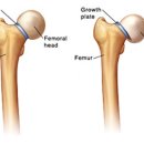 서울통정형외과의원 이미지