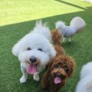 칠곡유치원 이미지