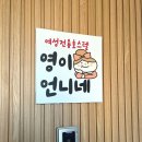 영이언니네 | [후기] 부산 광안리 근처 여성 전용 게스트 하우스. 부산 영이언니네.