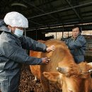 동명가축병원 뉴시스