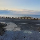 애월토리니 이미지