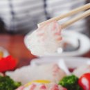 오션트리 이미지