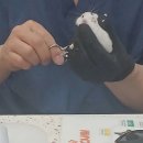 수사랑 동물병원 이미지