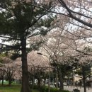 강서노인종합복지관 이미지