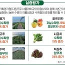 태광태양광 이미지