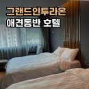 정선인투라온호텔 | [강원도/정선] 그랜드 인투라온 호텔 정선 펫룸 (애견동반,할인쿠폰,후기)