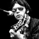 Neil Young / Birds 이미지